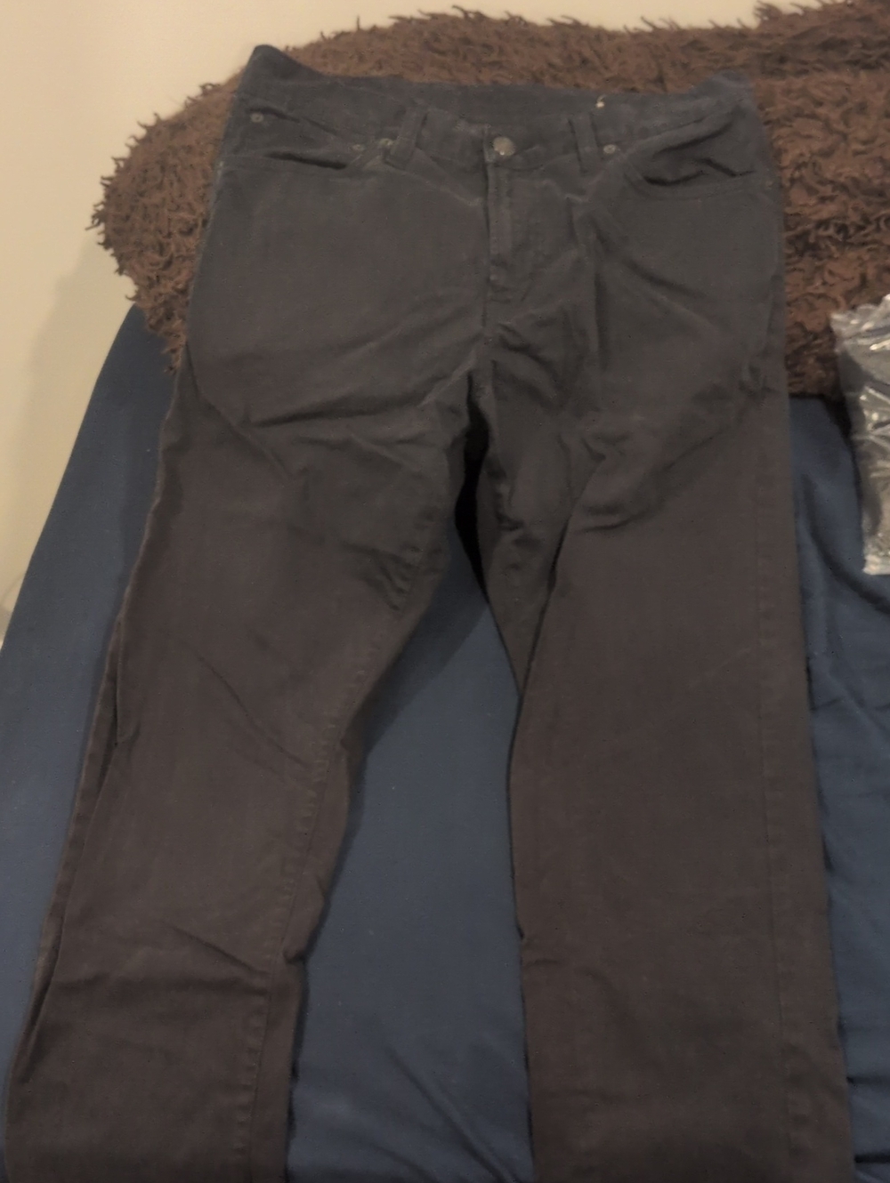 American Eagle Outfitters Charcoal/Black Pants
